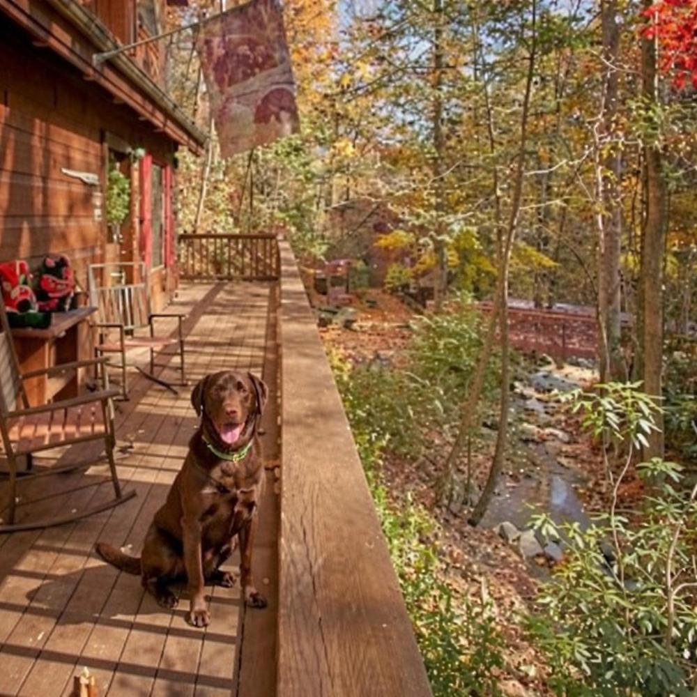 Cozy Creek